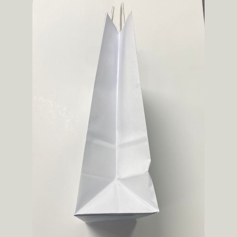 שקיות ממותגות