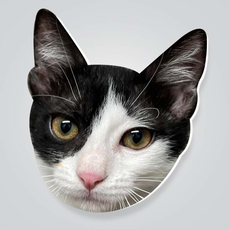 מיתוג ושילוט פנים