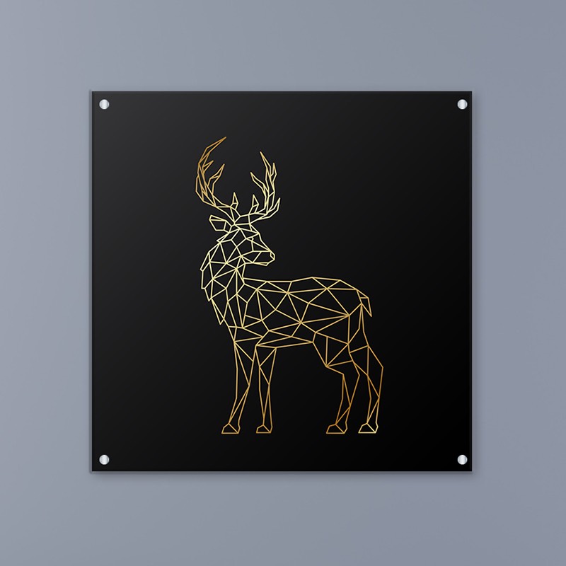 תמונות זכוכית אקרילית