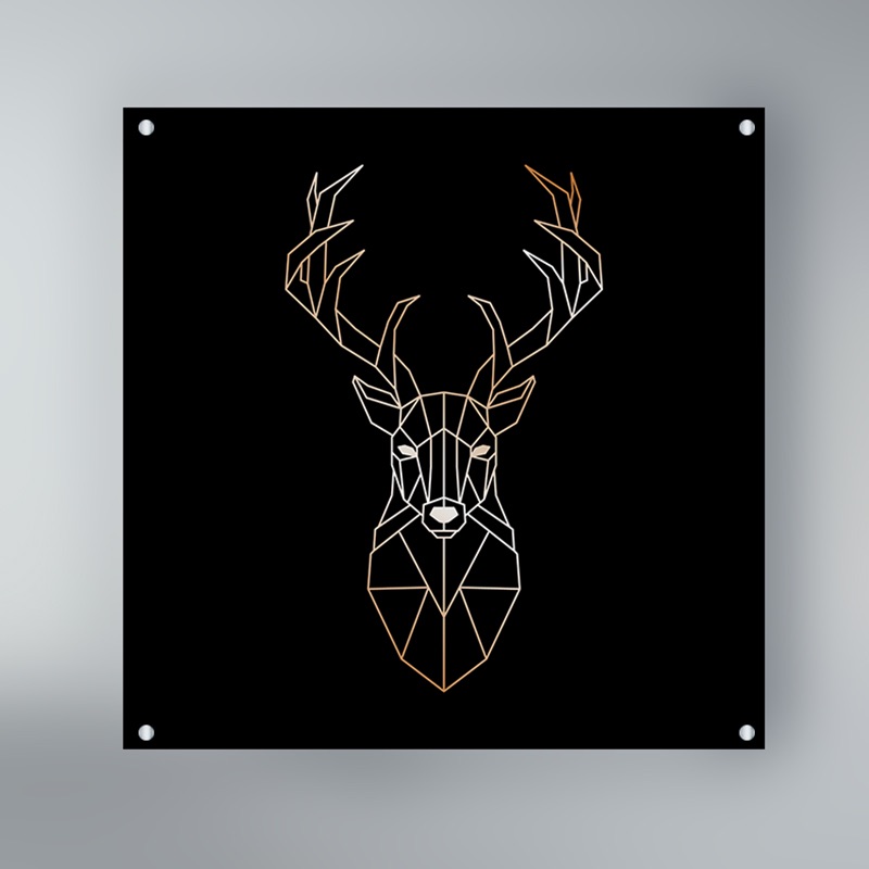 תמונות זכוכית אקרילית