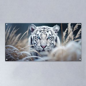 תמונות זכוכית אקרילית