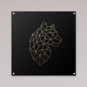 תמונות זכוכית אקרילית