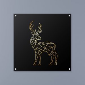 תמונות זכוכית אקרילית