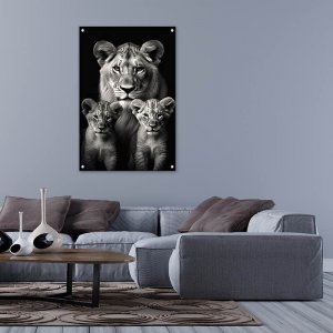 תמונות זכוכית אקרילית