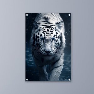 תמונות זכוכית אקרילית